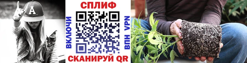 ссылка на мегу зеркало  Мамоново  Канабис индика 